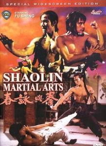 洪拳与咏春,传统武术的交融与传承