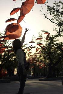 逆光寻真,探寻光影交织下的真实世界