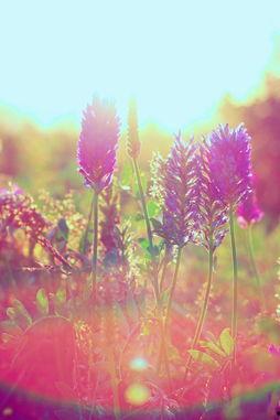 逆光寻真,探寻光影交织下的真实世界