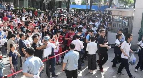 高考300分:我被名校抢疯了