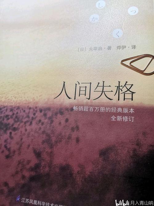 人间失格,探寻自我救赎的孤独旅程