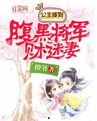 公主嫁到:腹黑将军请上位,公主嫁到