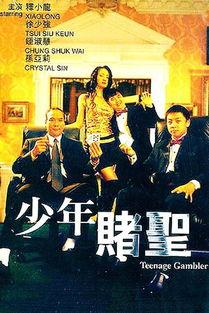 少年赌圣